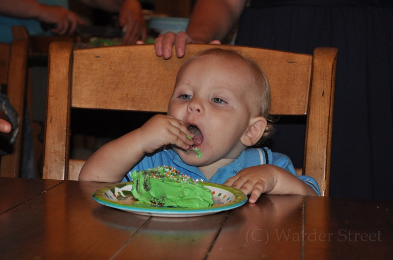 William's 2nd 1st Birthday Party 312.jpg